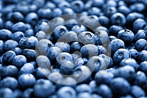 Heap of fresh sweet blueberry berries closeup