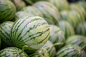 Heap of fresh watermelons for sale