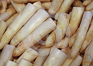 Heap of fresh white asparagus close up