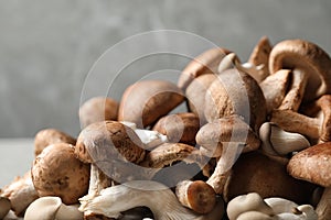 Heap of fresh wild mushrooms on grey background