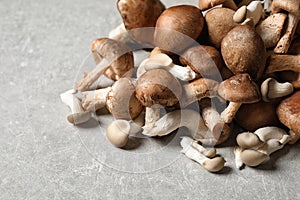 Heap of fresh wild mushrooms on grey table
