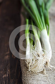 Heap of fresh young onion
