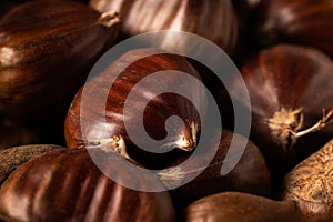 Heap of freshly harvested sweet chestnuts on dark background - macro shot