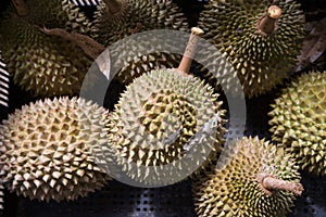 Heap of fresly harvested Musang King durian variety photo