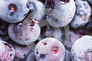 Heap of frozen blueberries of violet color with beautiful frost pattern and texture. Superfoods vegan food preservation