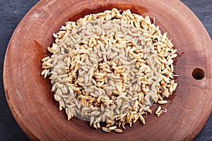 Heap of germinated oats on brown wooden background, top view