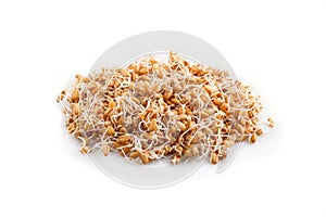 Heap of germinated wheat isolated on white background, side view