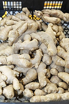 A heap of ginger root in a sale bin at a supermarket. Texture. Top view. Healthy lifestyle