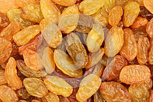 Heap of Golden Jumbo raisins. Background. Closeup