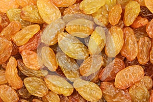 Heap of Golden Jumbo raisins. Background. Closeup