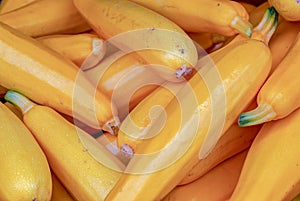 A heap of golden zucchini