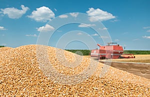 Heap grain wheat