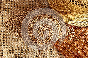 Heap of grains of spelt