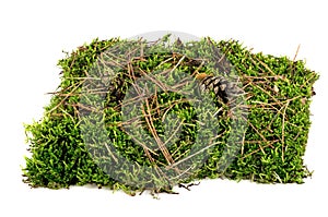 Heap of green moss, pine cones on a white background isolated.