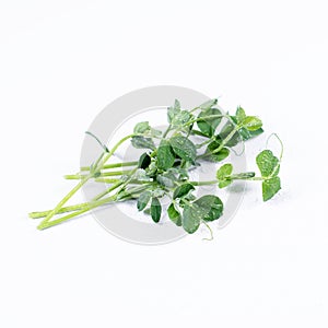 Heap of green pea sprouts, micro greens on white background. Healthy eating concept of fresh garden produce organically