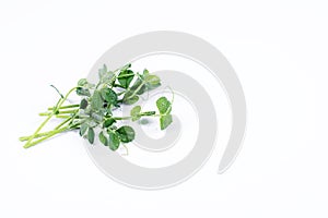 Heap of green pea sprouts, micro greens on white background. Healthy eating concept of fresh garden produce organically