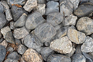 Heap grey stone for design in park and garden. Geometric pebbles.