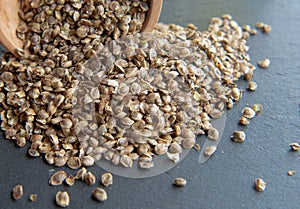 A heap of hemp seeds on the black stone background