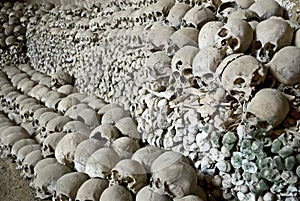 Heap of human bones.