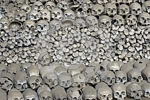 Heap of human bones.