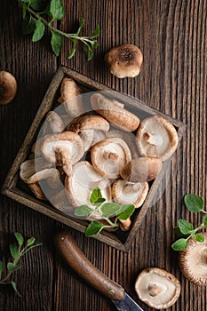 Heap of immunity boosting fresh Shiitake mushrooms in a bowl