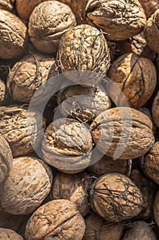 Heap of inshell walnuts