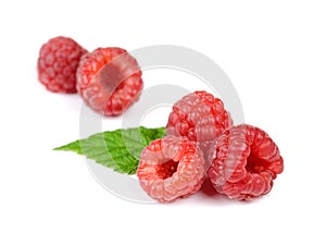 Heap of Juicy Red Ripe Raspberry with Green Leaves