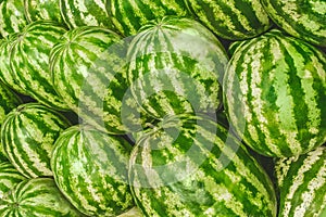 Heap of large green watermelons on the background market, close-up