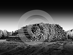 Heap of log landscape background
