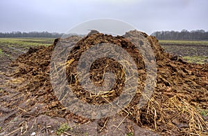 Heap of manure photo