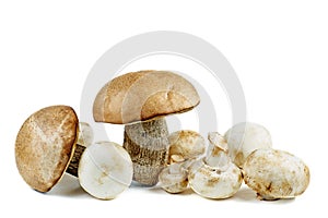 Heap of mushroom champignon and cep boletus on white . Isolated