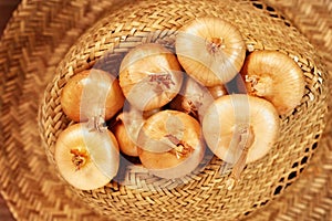 Heap of onions on hat