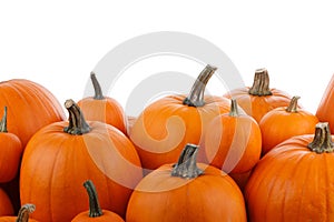 Heap of orange pumpkins