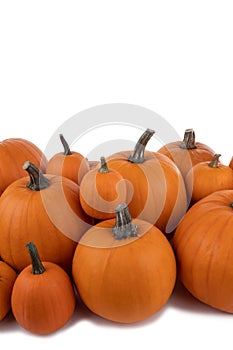 Heap of orange pumpkins