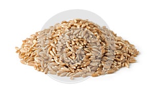 Heap of organic spelt wheat grains