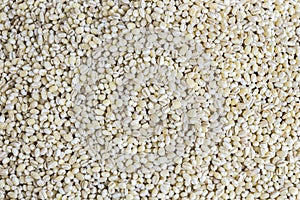 Heap of pearl barley grains isolated on background with copy spa photo
