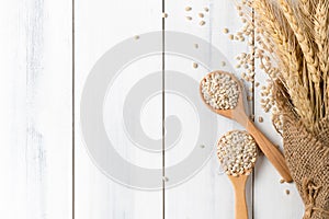 Heap of pearl barley on wood spoon with ear of barley