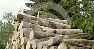 Heap of piled logs 4K FS700 Odyssey 7Q