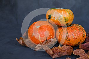 Heap of pumpkins and autumn maple leaves. Autumn harvest. Thanksgiving day concept.