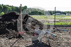 A heap of pure black earth lying in the yard next to the fence, visible shovel and full wheelbarrow.