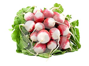 Heap of radish