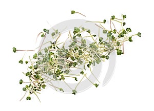 Heap of radish micro greens on white background, top view