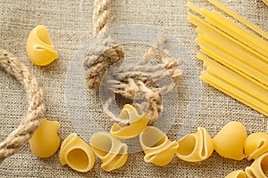 Heap of raw macaroni shells and spaghetti on the organic bagging