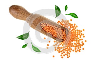 Heap of raw red lentils in wooden scoop decorated with green leaves isolated on white background