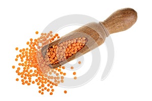 Heap of raw red lentils in wooden scoop isolated on white background