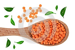 Heap of raw red lentils in wooden spoon decorated with green leaves isolated on white background