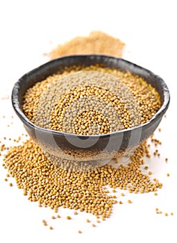 Heap of raw, unprocessed mustard seed kernels in bowl on white photo