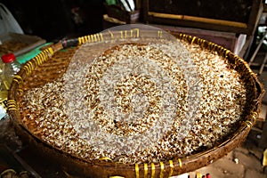 heap of red ant eggs