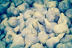 Heap of red garlic pile at farmer market in Washington, America