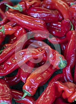 Heap of red sweet paprika